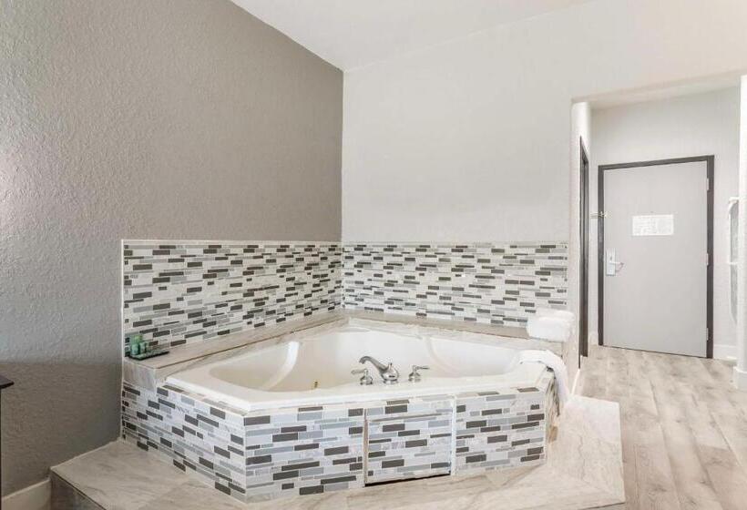 스탠다드 룸 킹사이즈 침대, Best Western Texas City I 45