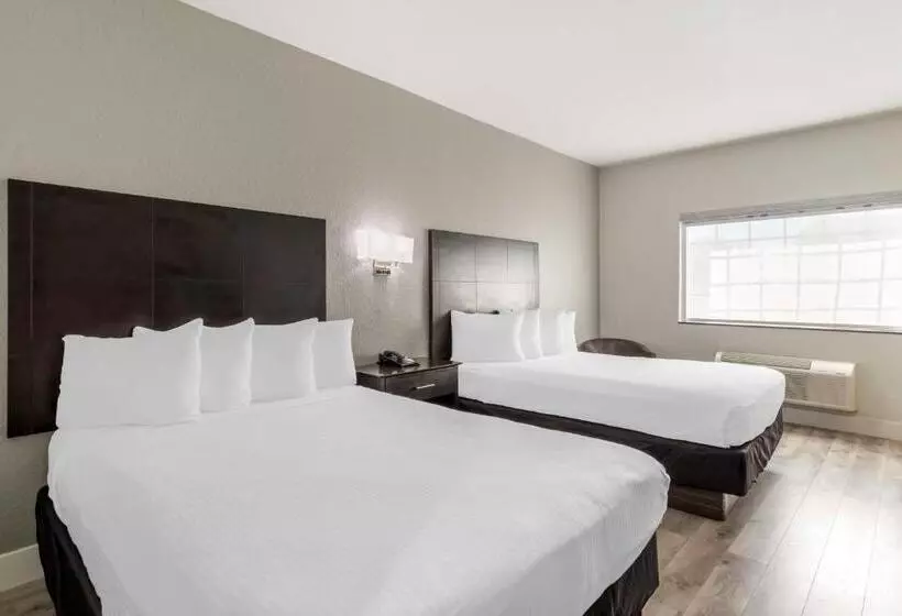 身障者適用スタンダードルーム, Best Western Texas City I 45