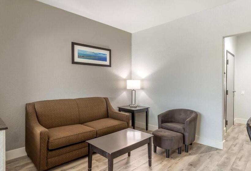 스위트 킹사이즈 침대, Best Western Texas City I 45