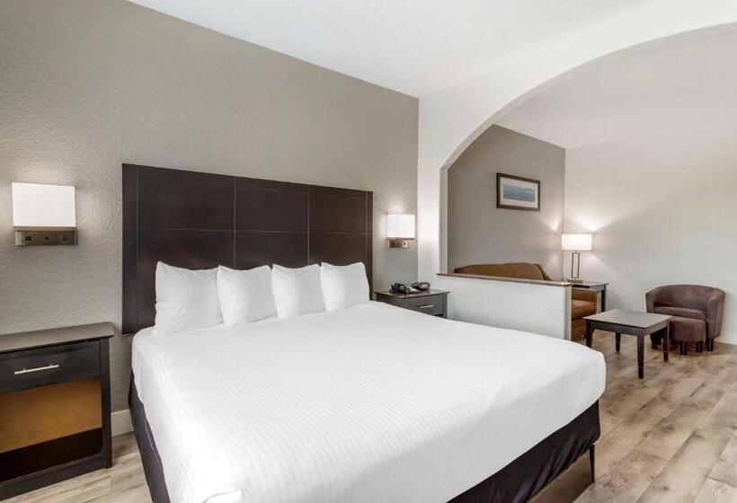 جناح سرير كينج, Best Western Texas City I 45