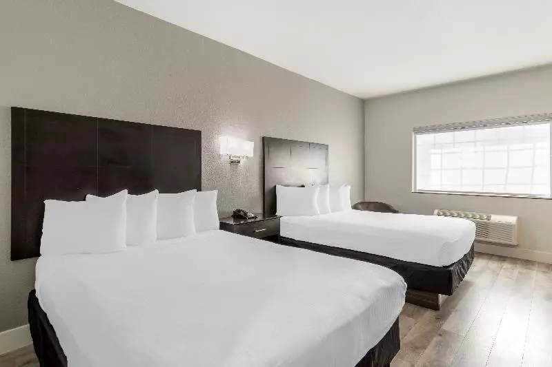 身障者適用スタンダードルーム, Best Western Texas City I 45