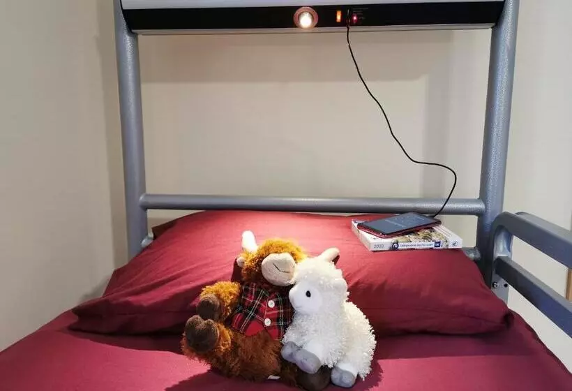 スタンダード４人部屋, Morag S Lodge