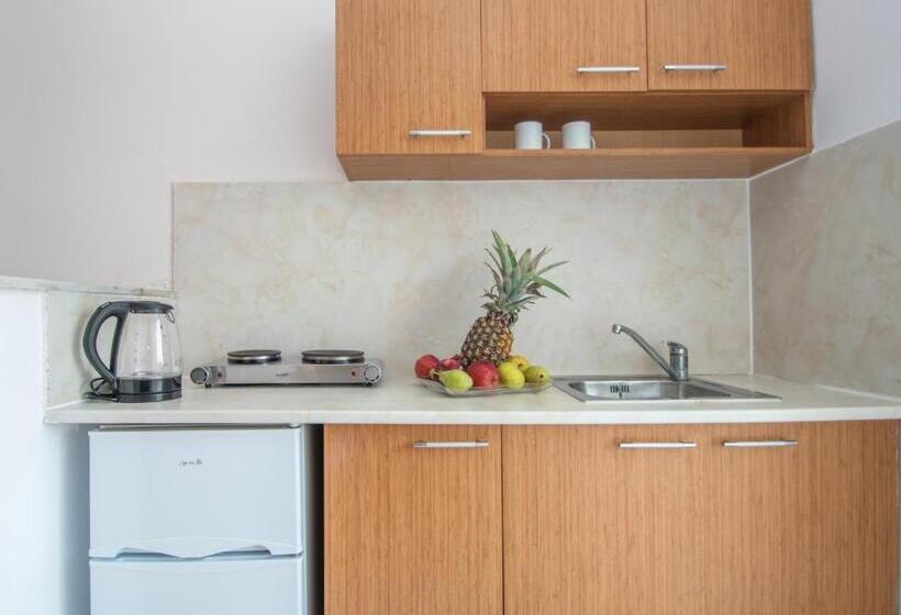 اتاق استاندارد سه نفره, Kozanos Studios 1