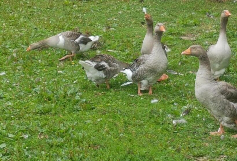 חדר סטנדרט נוף לגינה, Le Clos De Tournes