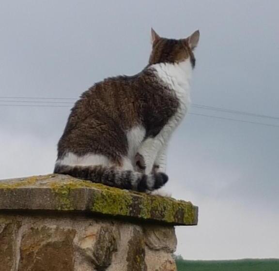 בית, 2 חדרי שינה, Le Clos De Tournes