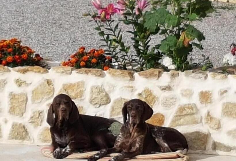 בית, 2 חדרי שינה, Le Clos De Tournes