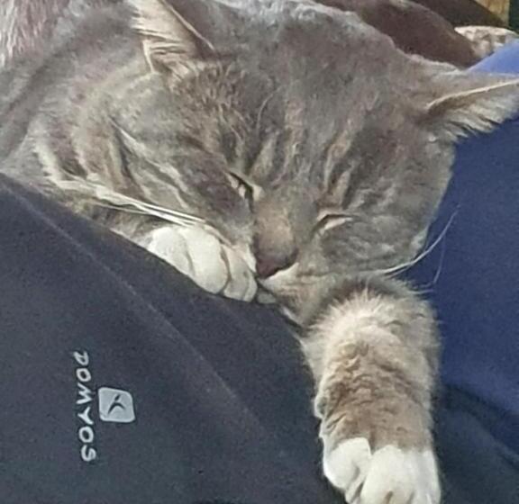 סוויטה עם טרסה, Le Clos De Tournes