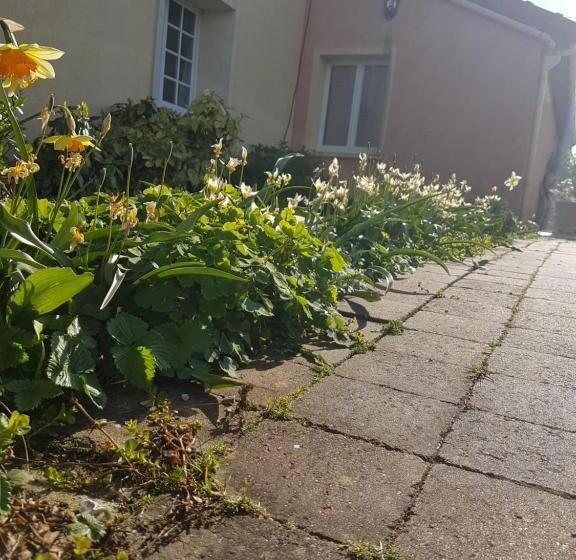 סוויטה עם טרסה, Le Clos De Tournes