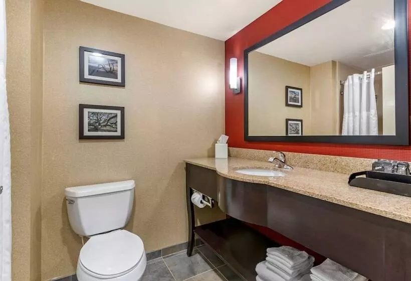 سوییت, Comfort Suites Florence I95