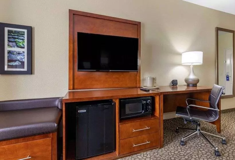 سوییت, Comfort Suites Florence I95