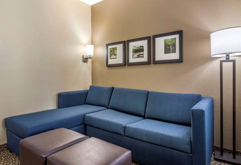 סוויטה, Comfort Suites Florence I95