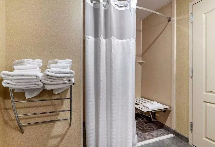 سوییت, Comfort Suites Florence I95