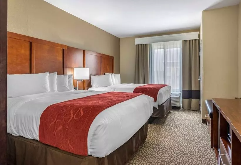 سوییت, Comfort Suites Florence I95