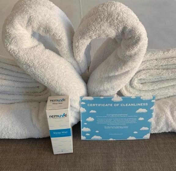 חדר סטודיו סטנדרד, Evolution Apartments