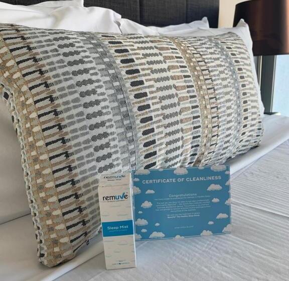 חדר סטודיו סטנדרד, Evolution Apartments