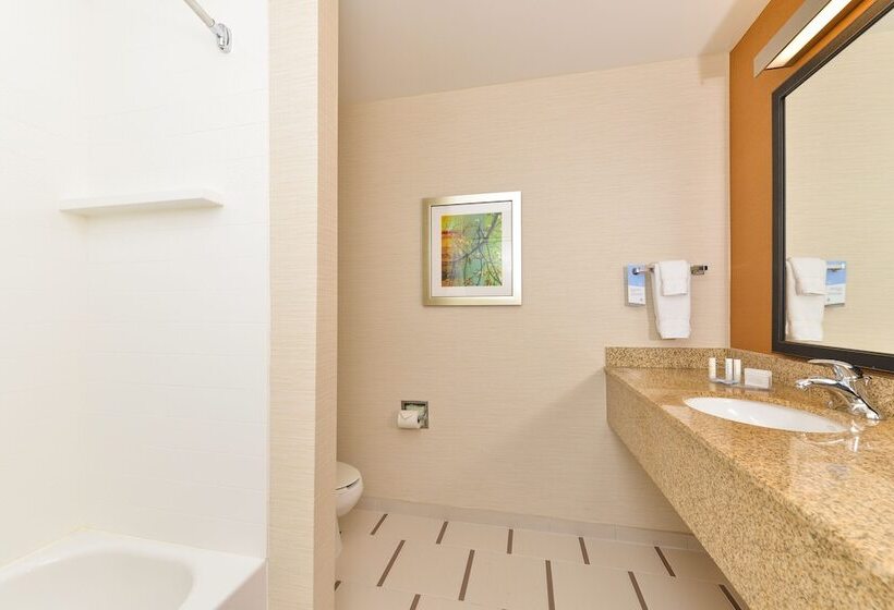 غرفه قياسيه سريرين مزدوجين, Fairfield Inn And Suites By Marriott Nashville Smyrna