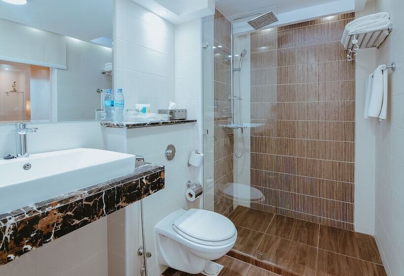 اتاق استاندارد, Holiday Inn Dar Es Salaam, An Ihg