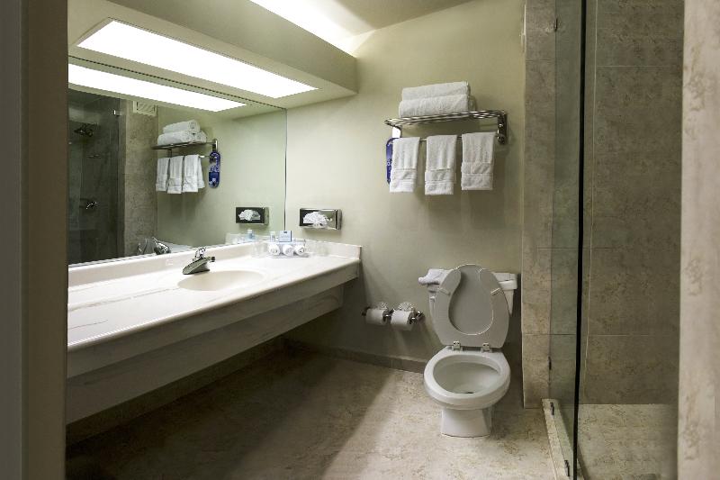 Quarto Estandar Cama King, Holiday Inn Express Piedras Negras, An Ihg