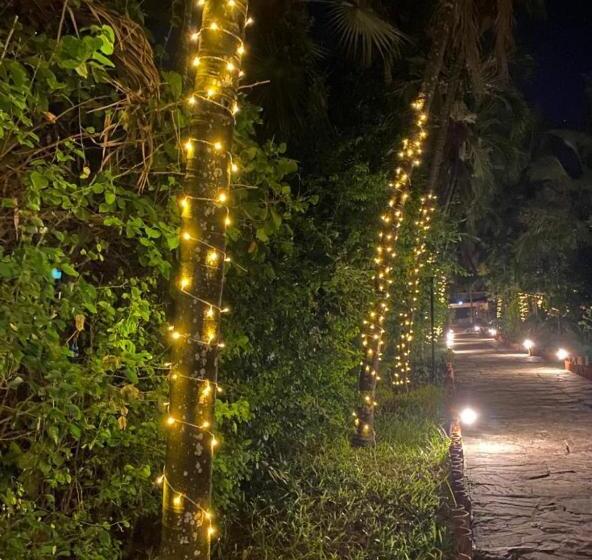 1 Schlafzimmer Apartment Meerblick, Indiana Beach Apartments