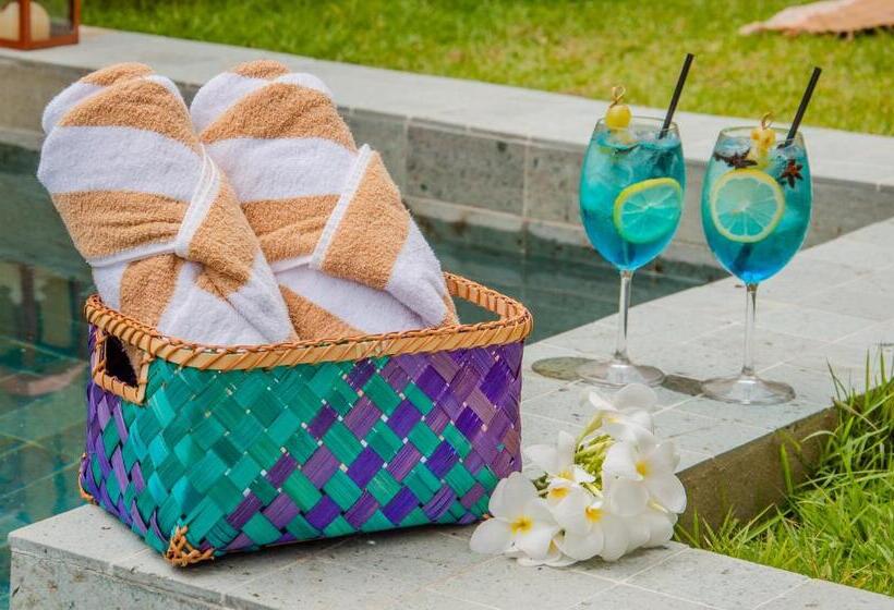 高级套房, Pipa Lagoa