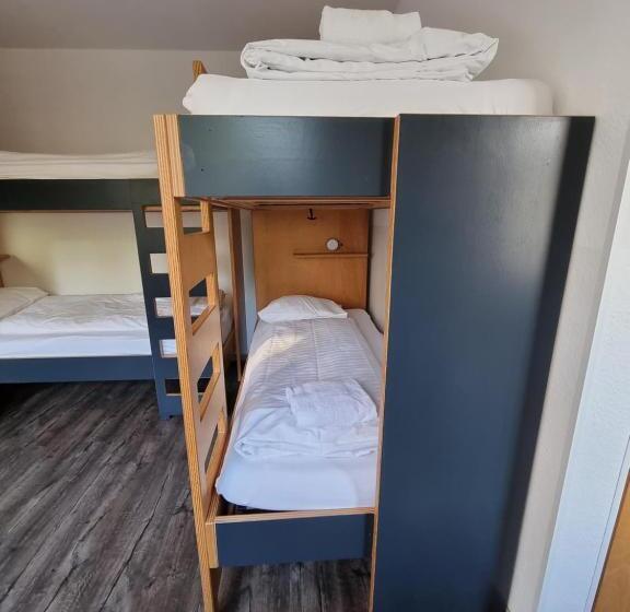 스탠다드 룸 공동 욕실, Hostel By Hyve Basel