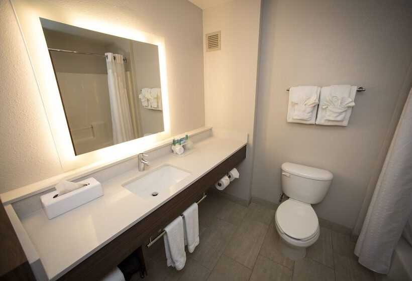 套房, Holiday Inn Express Hotel & Suites Lexington Downtown University, An Ihg