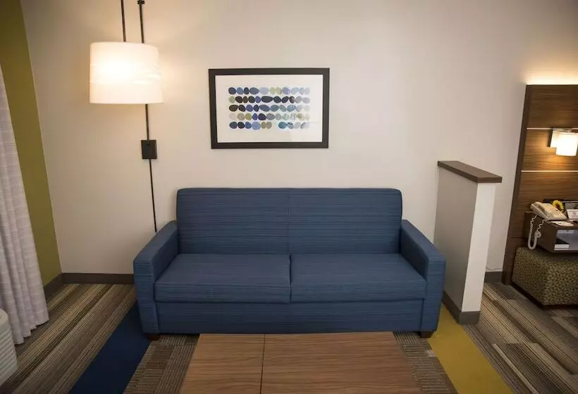 سوییت, Holiday Inn Express Hotel & Suites Lexington Downtown University, An Ihg