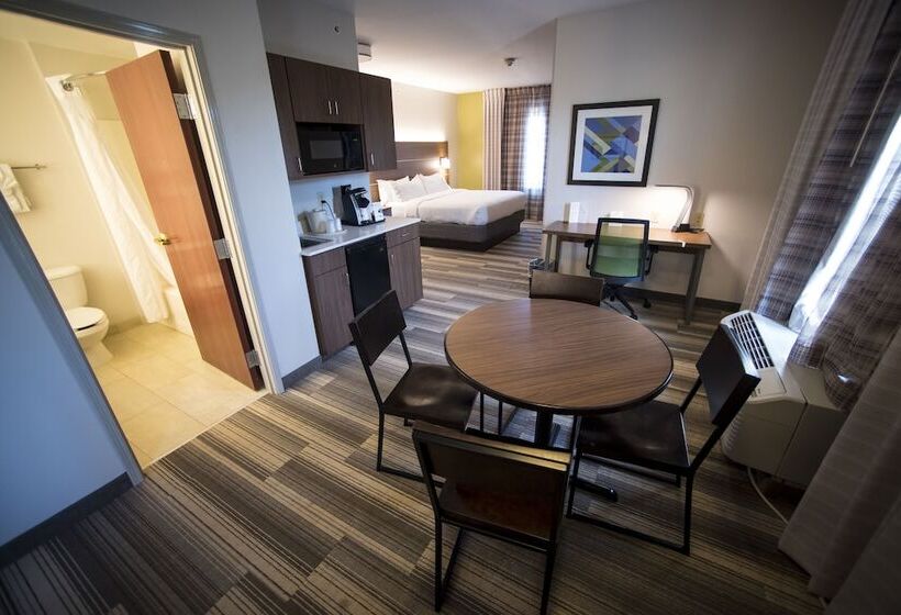 סוויטה, Holiday Inn Express Hotel & Suites Lexington Downtown University, An Ihg