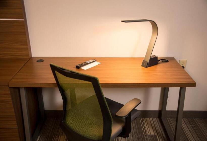 חדר סטנדרט, Holiday Inn Express Hotel & Suites Lexington Downtown University, An Ihg