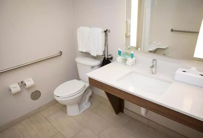 اتاق استاندارد با تخت بزرگ, Holiday Inn Express Hotel & Suites Lexington Downtown University, An Ihg
