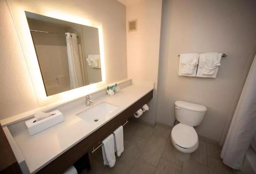 سوئیت با تخت بزرگ, Holiday Inn Express Hotel & Suites Lexington Downtown University, An Ihg