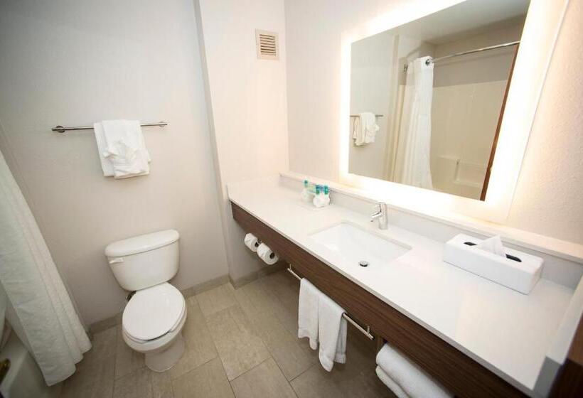 מיטת קינג בסוויטה, Holiday Inn Express Hotel & Suites Lexington Downtown University, An Ihg