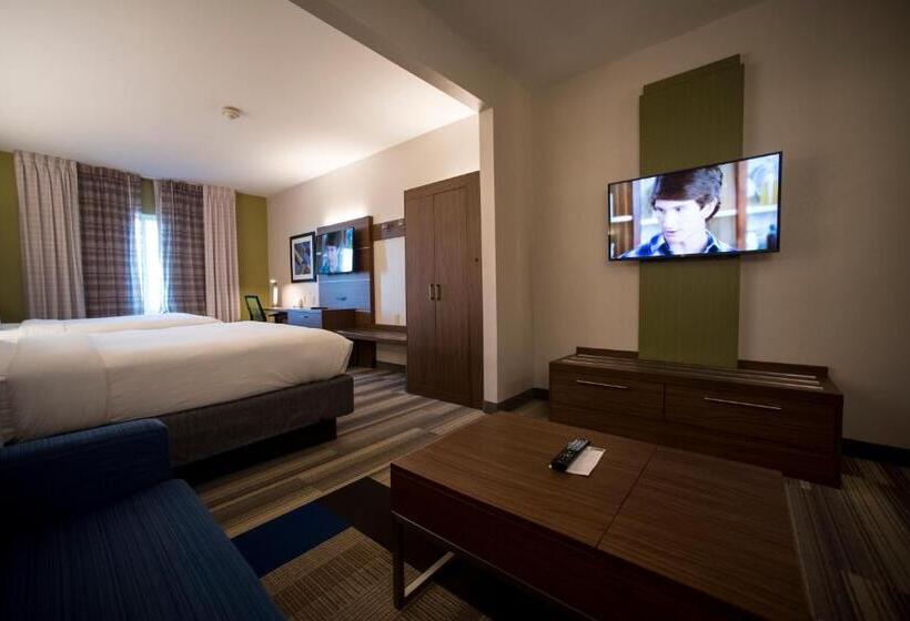 套房, Holiday Inn Express Hotel & Suites Lexington Downtown University, An Ihg