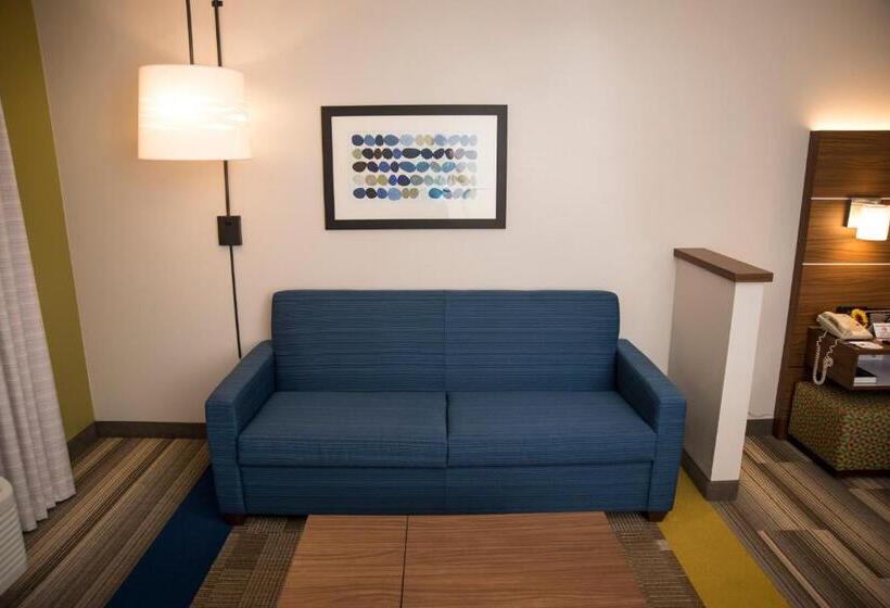 套房, Holiday Inn Express Hotel & Suites Lexington Downtown University, An Ihg