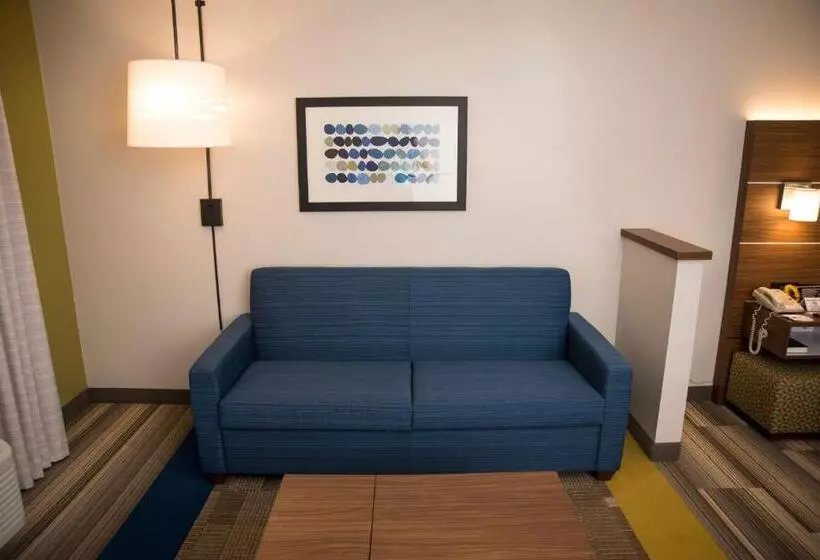 سوئیت اجرایی با تخت کینگ, Holiday Inn Express Hotel & Suites Lexington Downtown University, An Ihg
