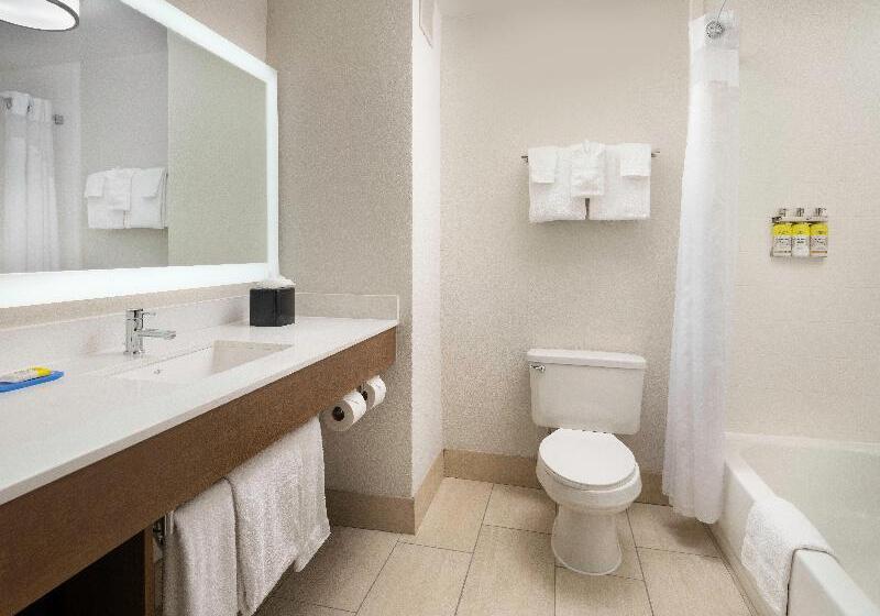 غرفة قياسية سرير كينج, Holiday Inn Express Hotel & Suites Olive Branch, An Ihg