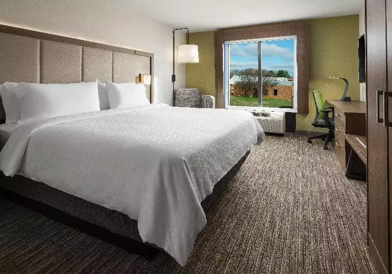 キングサイズベッドのスタンダードルーム, Holiday Inn Express Hotel & Suites Olive Branch, An Ihg