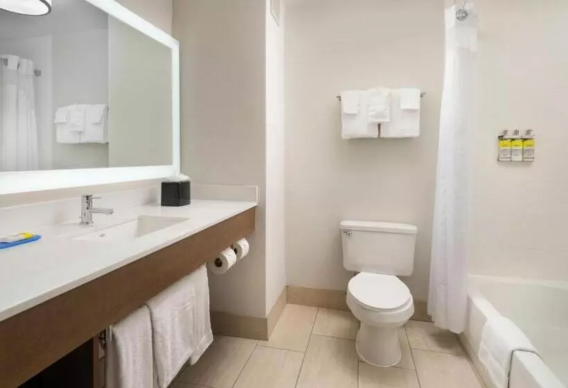 スイート, Holiday Inn Express Hotel & Suites Olive Branch, An Ihg