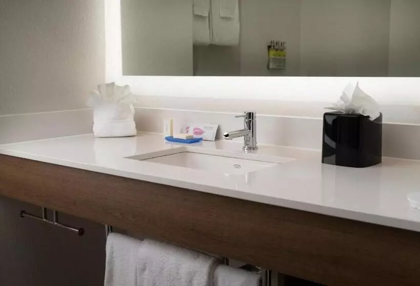 キングサイズベッドのエクゼクティブルーム, Holiday Inn Express Hotel & Suites Olive Branch, An Ihg