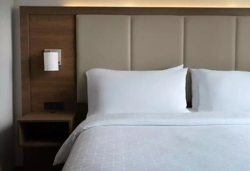 キングサイズベッドのスイートルーム, Holiday Inn Express Hotel & Suites Olive Branch, An Ihg