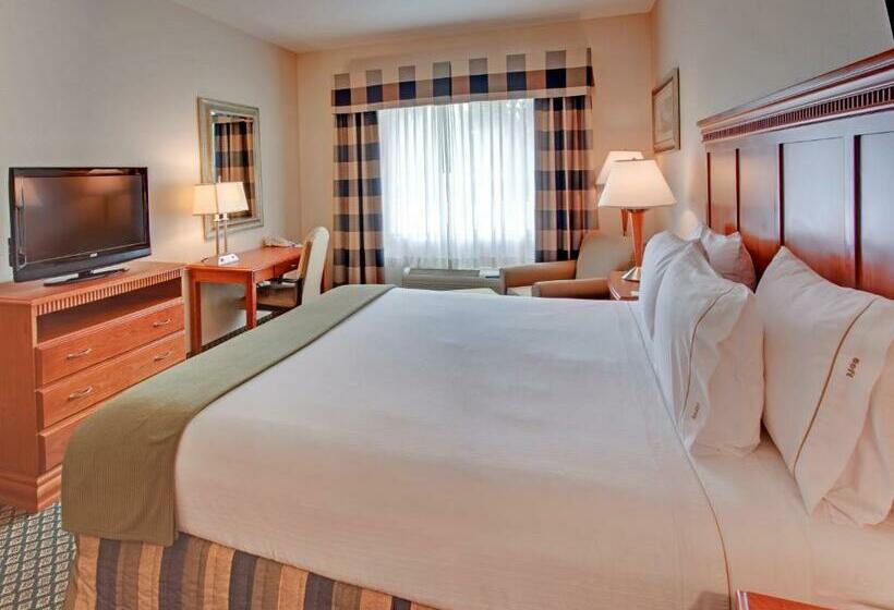 غرفة قياسية سرير كينج لذوى الإحتياجات الخاصة, Holiday Inn Express Hotel & Suites Ontario Airport Mills Mall, An Ihg