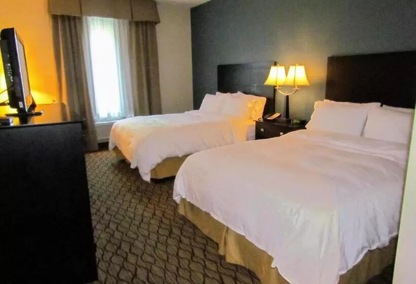 スタンダードルーム, Holiday Inn Express Hotel & Suites Cadillac, An Ihg