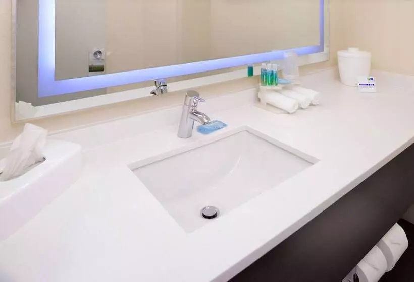 スイート, Holiday Inn Express & Suites Florida City Gateway To Keys, An Ihg