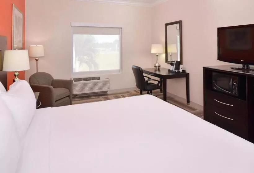 キングサイズベッドのスタンダードルーム, Holiday Inn Express & Suites Florida City Gateway To Keys, An Ihg