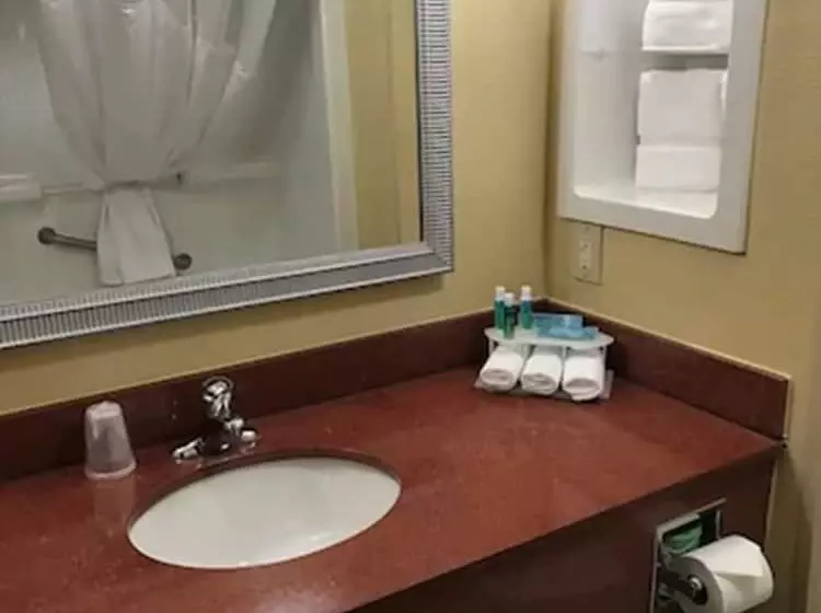 スタンダードルーム, Holiday Inn Express Hotel & Suites Hinesville, An Ihg