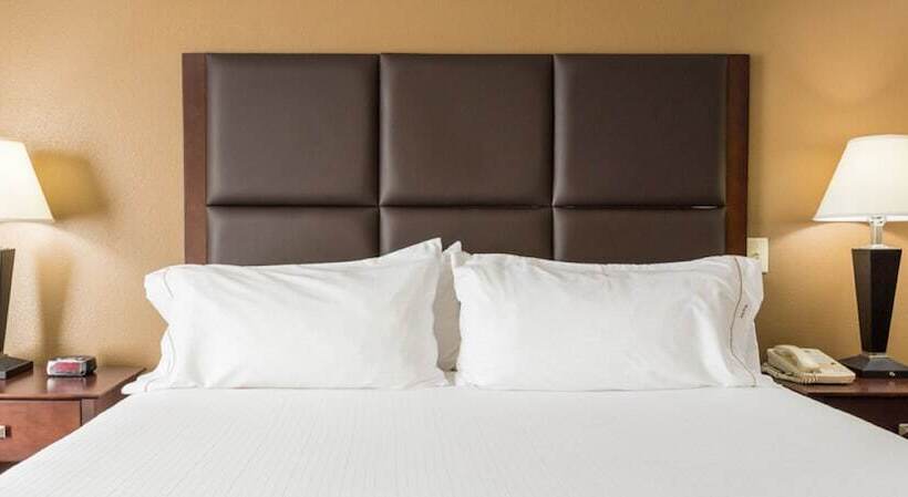 غرفة قياسية, Holiday Inn Express Hotel & Suites Hinesville, An Ihg
