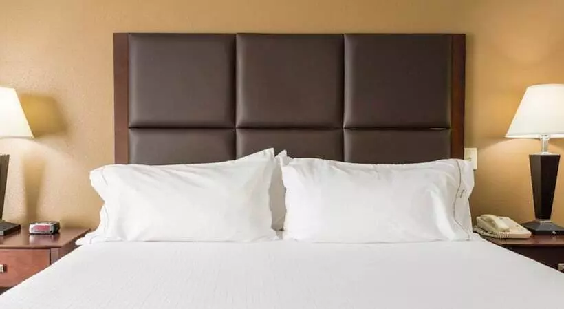 スタンダードルーム, Holiday Inn Express Hotel & Suites Hinesville, An Ihg
