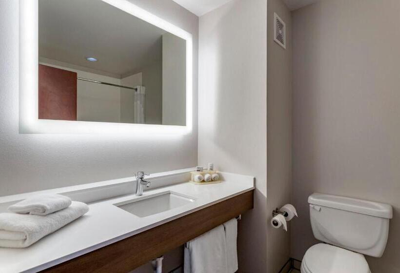 סוויטה, Holiday Inn Express Hotel And Suites Natchitoches, An Ihg