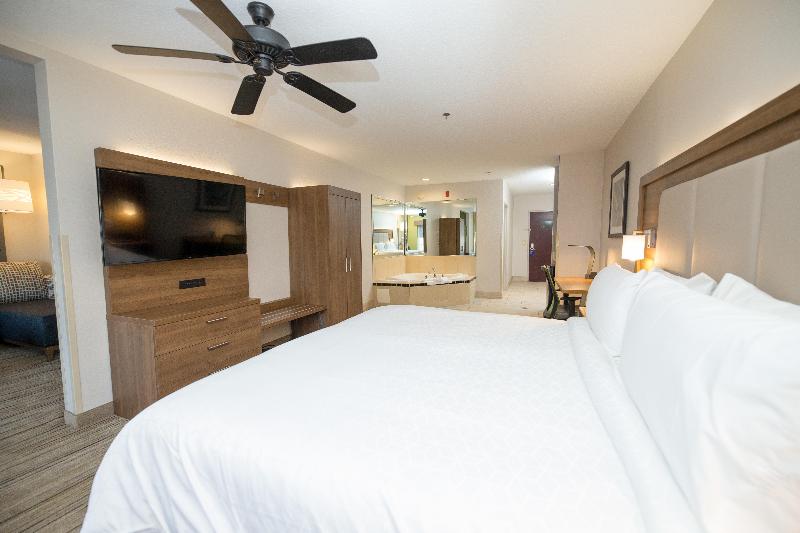 غرفة قياسية سرير كينج لذوى الإحتياجات الخاصة, Holiday Inn Express Hotel & Suites Clinton, An Ihg