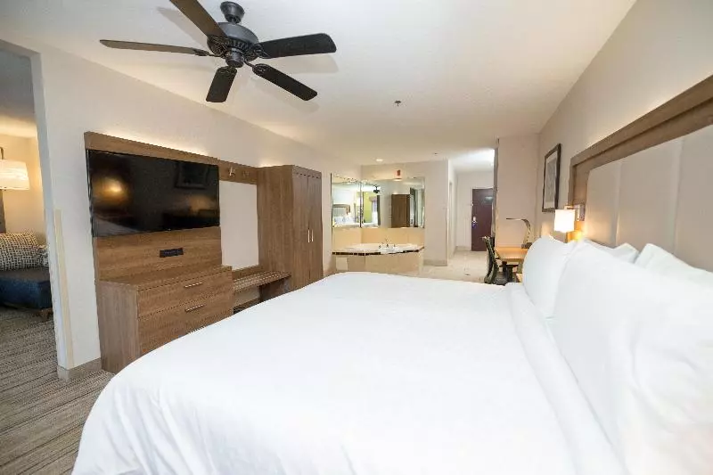 身障者適用キングサイズベッドルーム, Holiday Inn Express Hotel & Suites Clinton, An Ihg